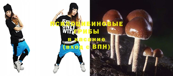 ПСИЛОЦИБИНОВЫЕ ГРИБЫ Армянск