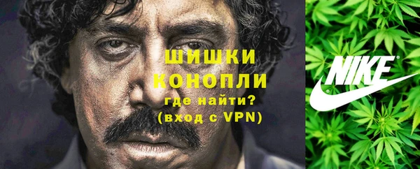 ПСИЛОЦИБИНОВЫЕ ГРИБЫ Армянск