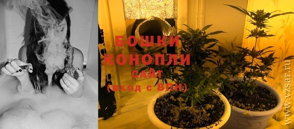 ПСИЛОЦИБИНОВЫЕ ГРИБЫ Армянск